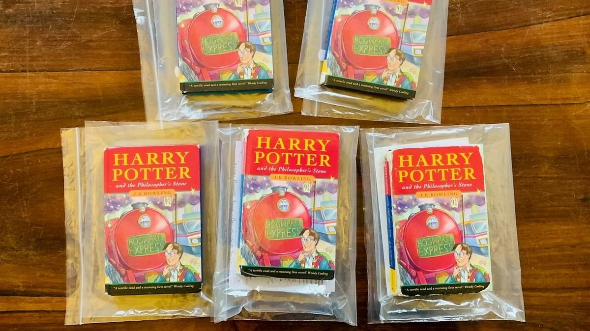 Vzácný a nepoškozený výtisk Harryho Pottera se vydražil za miliony